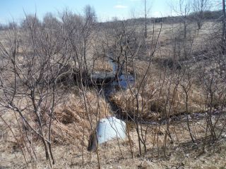A spring photo of the headwater sample site in the Jock River Barrhaven catchment located on Okeefe Court