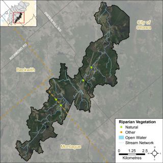 Figure XX Headwater feature riparian vegetation types in the Nichols Creek catchment