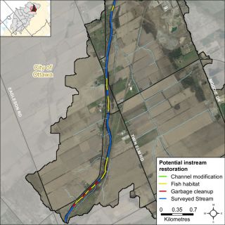 Figure XX Instream restoration opportunities along Jock River in the Leamy Creek catchment
