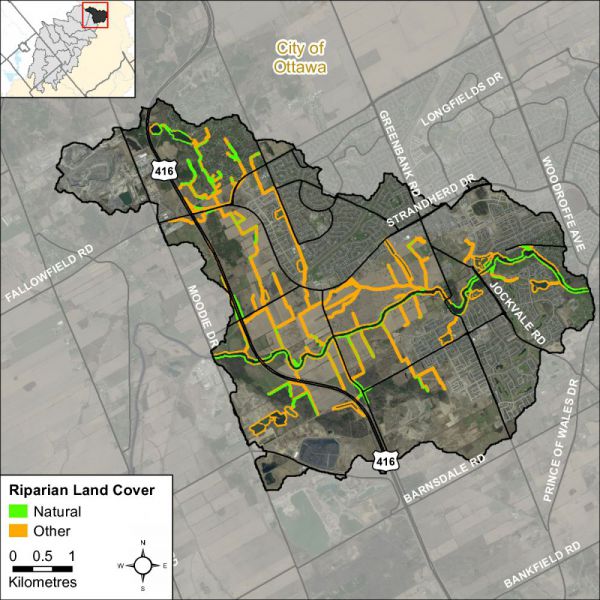 Figure xx Natural and other riparian land cover in the Barrhaven catchment