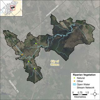 Figure XX Headwater feature riparian vegetation types in the Jock River Richmond Fen catchment