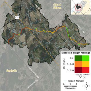 Figure XX A bivariate assessment of dissolved oxygen concentration (mg/L) and saturation (%) in the Jock River Ashton - Dwyer Hill reach