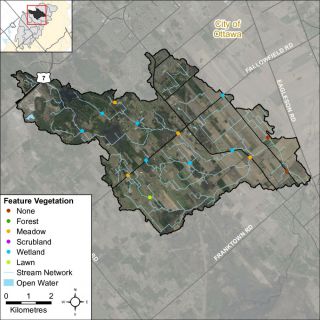 Figure XX Headwater feature vegetation types in the Flowing Creek catchment
