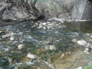 Site conditions on Flowing Creek at the Garvin Road OBBN sample location