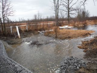 A spring photo of the headwater sample site in the Jock River Richmond Fen catchment located on Munster Road