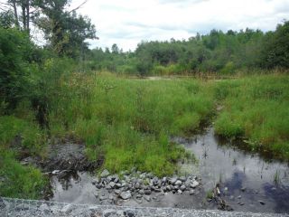 A summer photo of the headwater sample site in the Jock River Richmond Fen catchment located on Munster Road