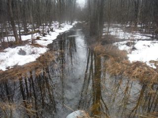 A spring photo of the headwater sample site in the Nichols Creek catchment located on Derry Side Road