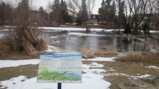 Jock River Wetland Embayment winter condition