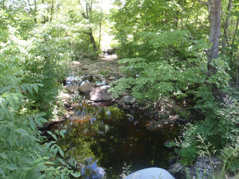 Photo along Stag Creek showing fragmentation of aquatic habitat during the drought in the Fall of 2016