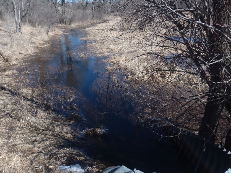 A spring photo of the headwater sample site in the Long Lake catchment located on Long Lake Road