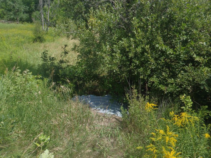 A summer photo of the headwater sample site in the Long Lake catchment located on Long Lake Road