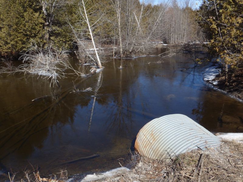 A spring photo of the headwater sample site in the Long Lake catchment located on McLean Road