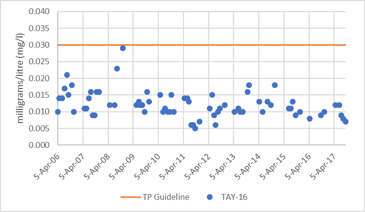 Figure 64  Distribution of total phosphorus concentrations at site TAY-16 in the Tay River, 2006-2017.