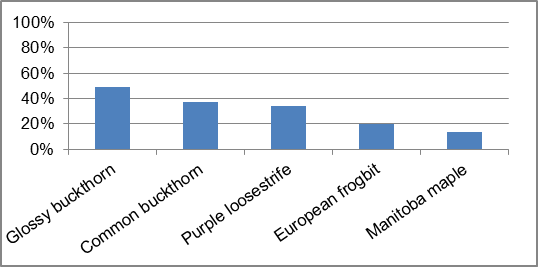 Figure 36 Invasive species frequency by type along Hutton Creek