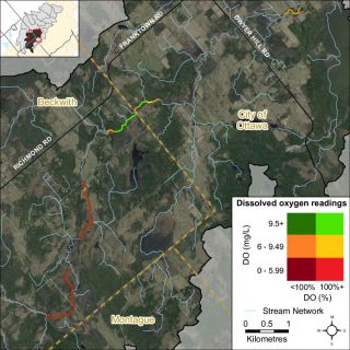 Figure XX A bivariate assessment of dissolved oxygen concentration (mg/L) and saturation (%) in Kings Creek
