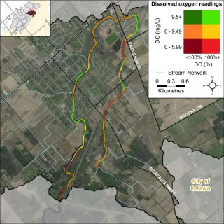 Figure XX A bivariate assessment of dissolved oxygen concentration (mg/L) and saturation (%) on the Jock River and Marlborough Creek in the Richmond catchment