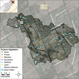 Figure XX Headwater feature vegetation types in the Jock River Barrhaven catchment