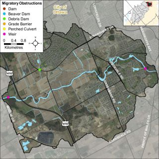 Figure XX Migratory obstructions along Jock River in the Barrhaven catchment