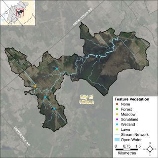 Figure XX Headwater feature vegetation types in the Jock River Richmond Fen catchment