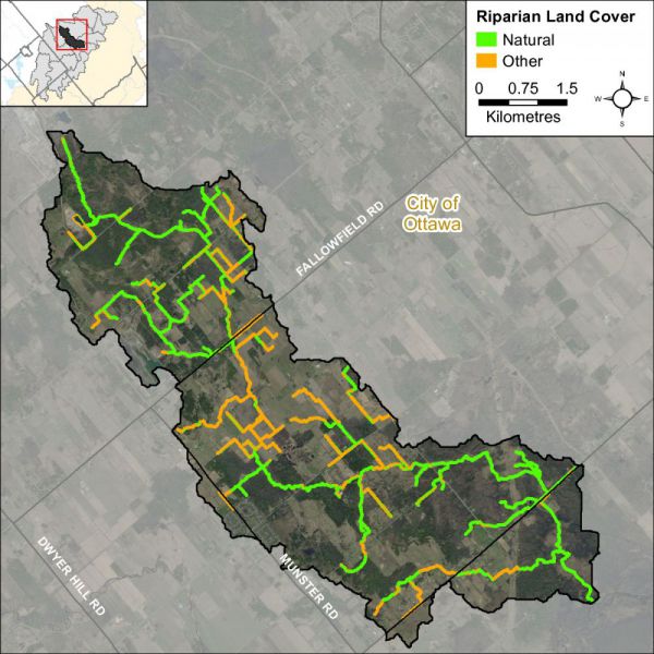 Figure xx Natural and other riparian land cover in the Hobbs Drain catchment