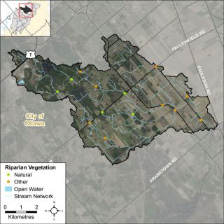Figure XX Headwater feature riparian vegetation types in the Flowing Creek catchment