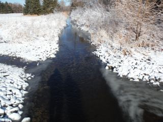 A spring photo of the headwater sample site in the Flowing Creek catchment located on Flewellyn Road