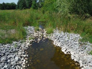 A summer photo of the headwater sample site in the Flowing Creek catchment located on Flewellyn Road