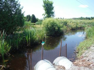A summer photo of the headwater sample site in the Jock River Franktown catchment located on Beckwith 6th Line