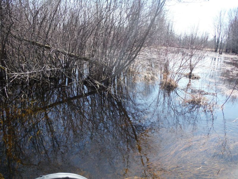 Photo XX Spring and Summer photos of an headwater sample location in the Otter Creek catchment