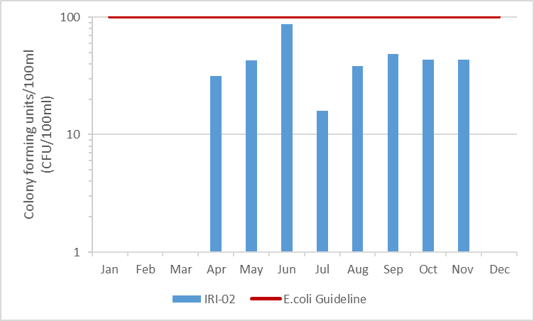 Figure 8 E.coli counts in Irish Creek, 2003-2008