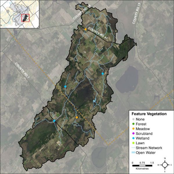 Figure 49 Headwater feature vegetation types in the Barbers Creek catchment