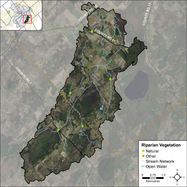 Figure 50 Headwater feature riparian vegetation types in the Barbers Creek catchment
