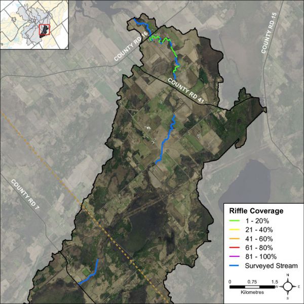 Figure 33 Riffle habitat locations along Barbers Creek