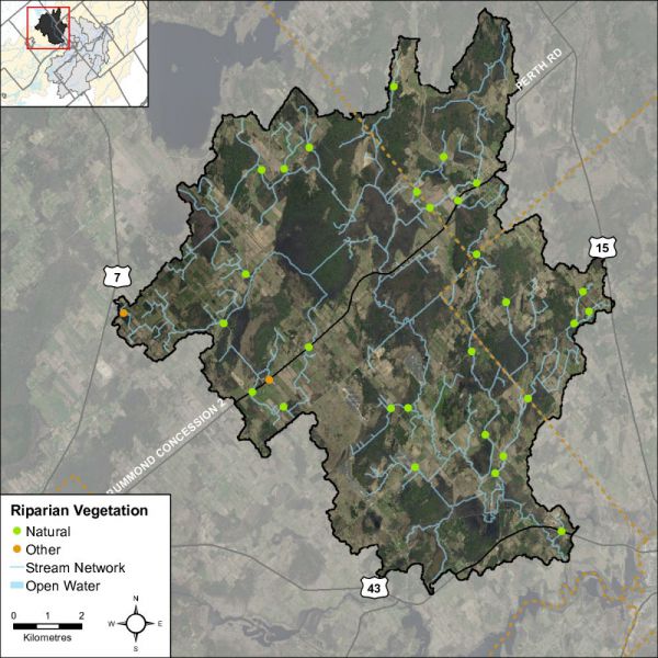 Figure 49 Headwater feature riparian vegetation types in the Black Creek catchment