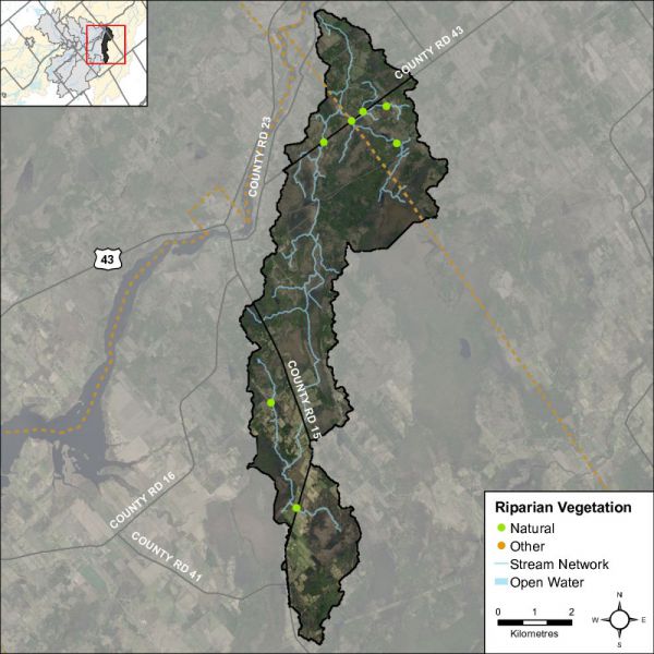 Figure 50 Headwater feature riparian vegetation types in the Dales Creek catchment