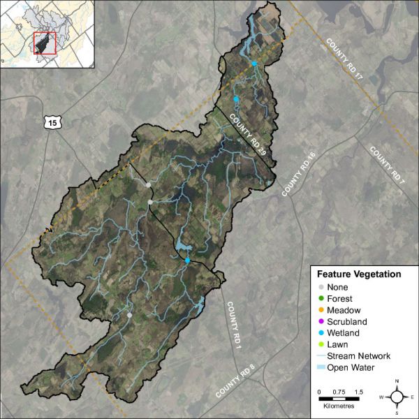 Figure 47 headwater feature vegetation types in Hutton Creek