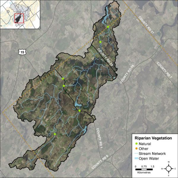 Figure 48 headwater feature riparian vegetation in Hutton Creek