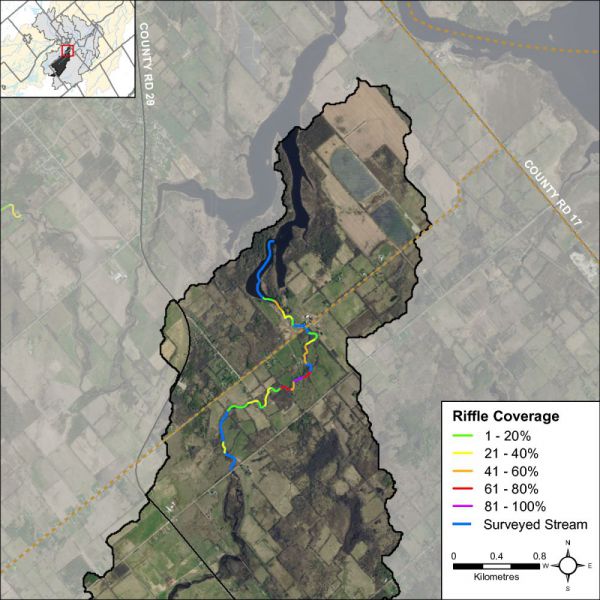 Figure 31 shows where riffle habitat was observed along Hutton Creek