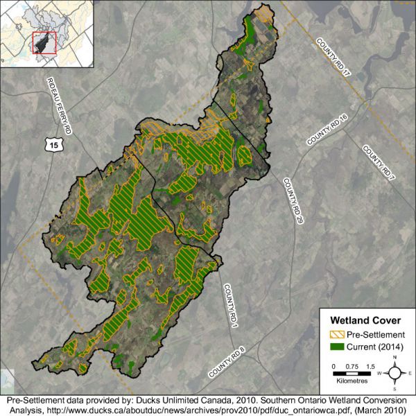 Figure 35 Catchment wetland cover