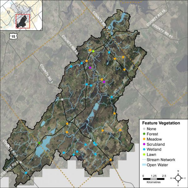 Figure 43 Headwater feature vegetation types in the Irish Creek catchment