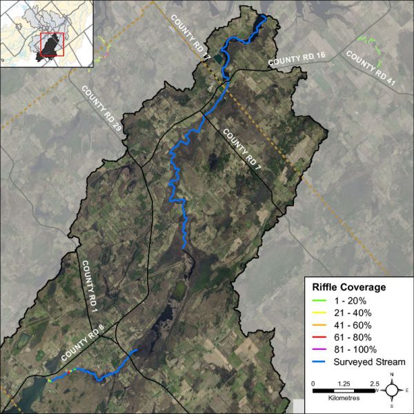 Figure 27 Riffle habitat locations along Irish Creek