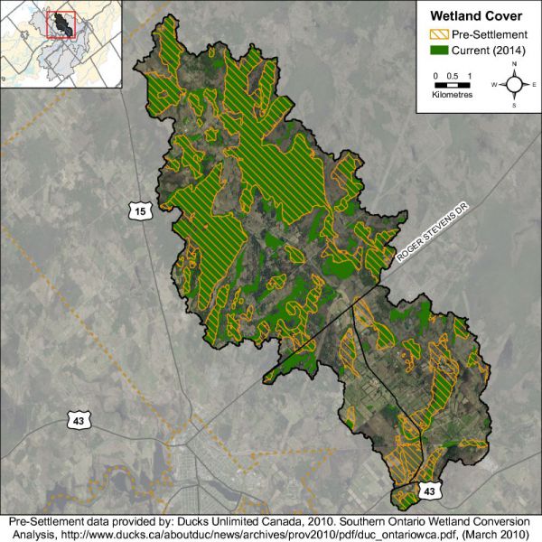 Figure 35 Catchment wetland cover While there has been a reported decrease in wetland cover in the Rosedale Creek catchment from pre-settlement times, the remaining wetland cover in 2014 remains above