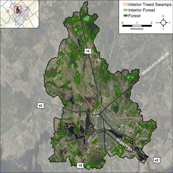 Figure 34 Woodland cover and forest interior in the catchment