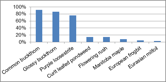 Figure 38 Frequency of Invasive species along Dales Creek