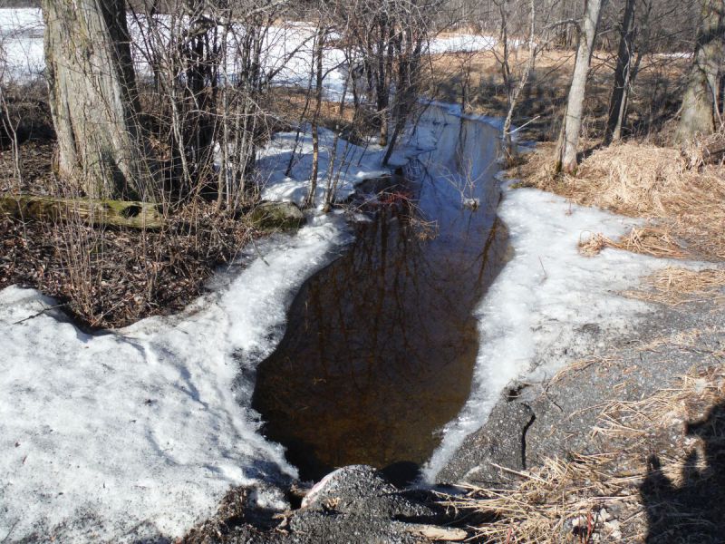 Spring photo of a headwater sample site in the Rideau Creek catchment located on Heritage Drive