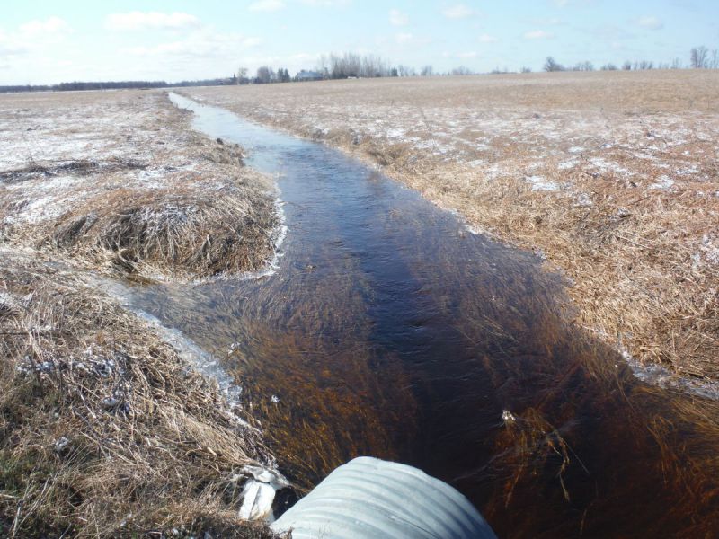 Spring photo of a headwater sample site in the Rideau – Merrickville catchment located on Putnam road
