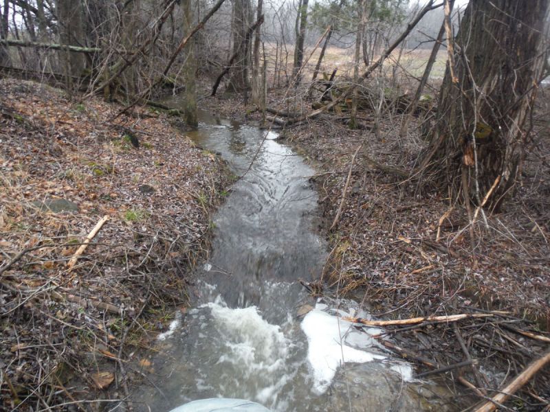Spring conditions at a headwater sampling site on Concession Road 5B in the Black Creek catchment