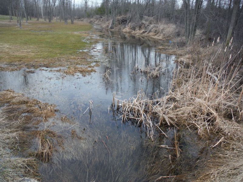 Spring photo of a headwater sample site in the Rideau - Smiths Falls catchment located on Harper Condie Road