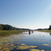 pike lake catchment